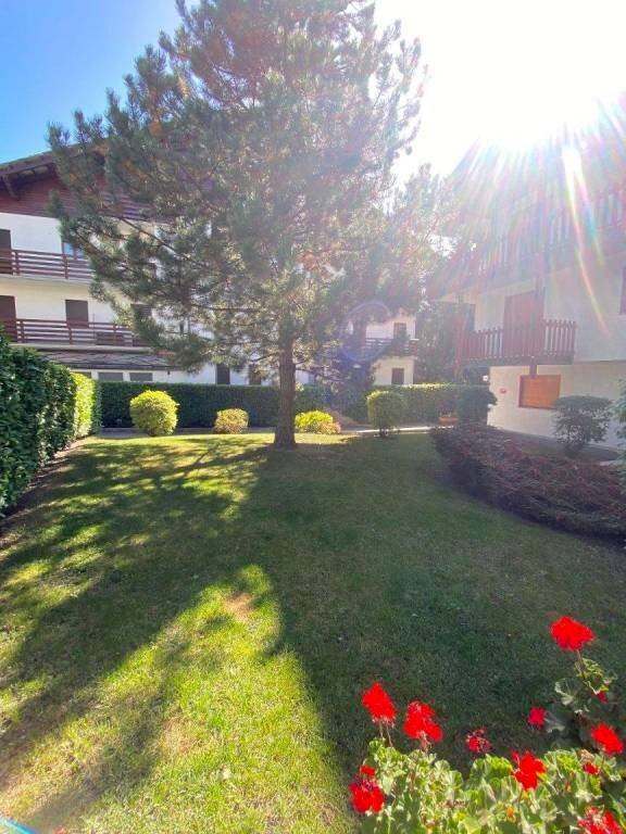 Giardino - Trilocale via Giuseppe Francesco Medail, 28, Bardonecchia - foto 2