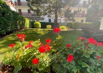 Giardino - Trilocale via Giuseppe Francesco Medail, 28, Bardonecchia - foto 13