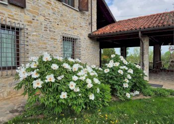 Villa Fossano - photo 8