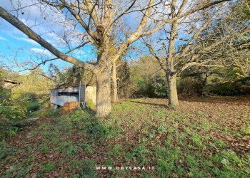 Foto 5 - Casa indipendente bassano romano, Bassano Romano - foto 5