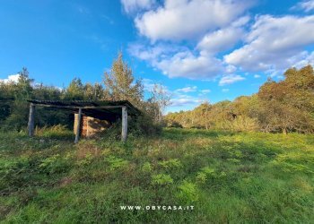 Foto 19 - Casa indipendente bassano romano, Bassano Romano - foto 19