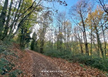 Foto 21 - Casa indipendente bassano romano, Bassano Romano - foto 21