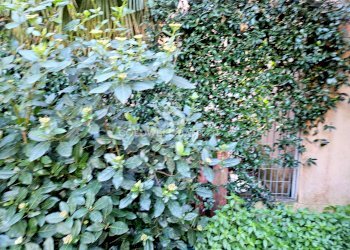 Foto 14 - Bilocale Via Cavalese, Roma - foto 14