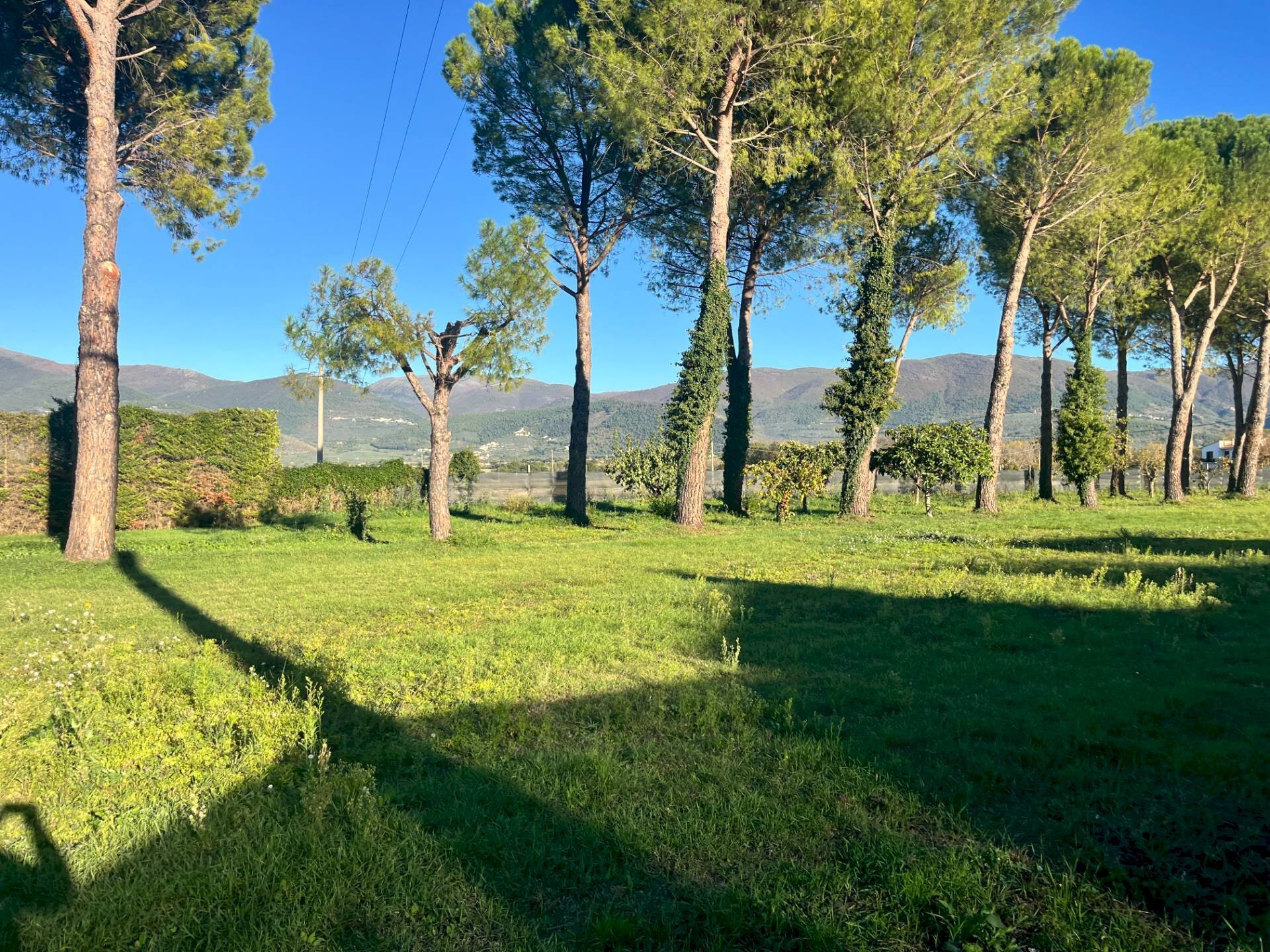 Foto 2 - Terreno edificabile Spoleto - foto 2