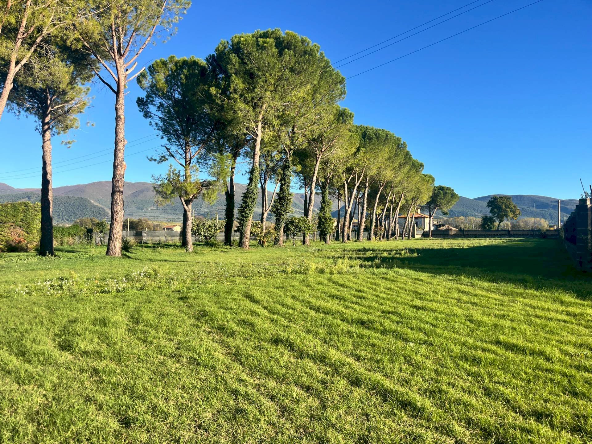 Foto 3 - Terreno edificabile Spoleto - foto 3