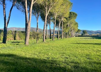 Foto 1 - Terreno edificabile Spoleto - foto 1