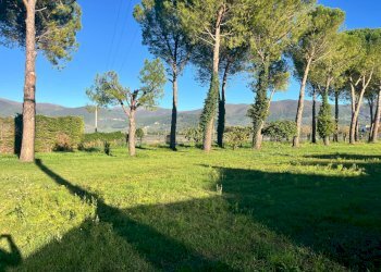 Foto 2 - Terreno edificabile Spoleto - foto 2