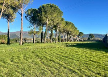 Foto 3 - Terreno edificabile Spoleto - foto 3