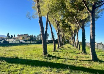 Foto 5 - Terreno edificabile Spoleto - foto 5