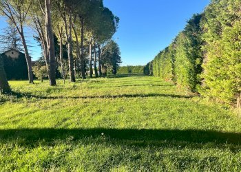 Foto 8 - Terreno edificabile Spoleto - foto 8