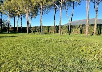 Foto 9 - Terreno edificabile Spoleto - foto 9