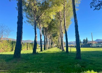 Foto 10 - Terreno edificabile Spoleto - foto 10