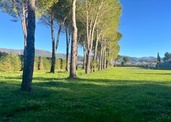 Foto 11 - Terreno edificabile Spoleto - foto 11