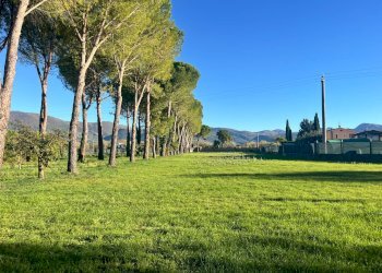 Foto 12 - Terreno edificabile Spoleto - foto 12