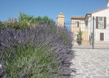 Foto 4 - Rustico Montefiore dell'Aso - foto 4