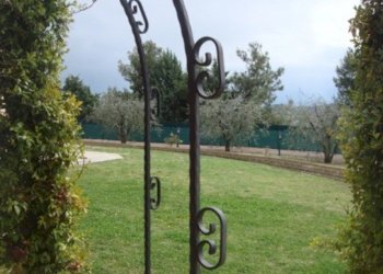 Foto 10 - Rustico Montefiore dell'Aso - foto 10