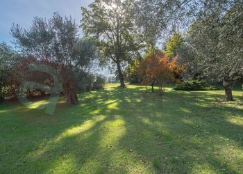 Foto 15 - Rustico Via Nevali
 
25, Roccasecca - foto 15