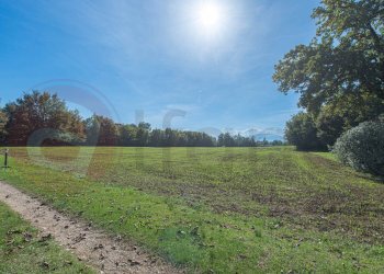 Foto 58 - Rustico Via Nevali
 
25, Roccasecca - foto 58