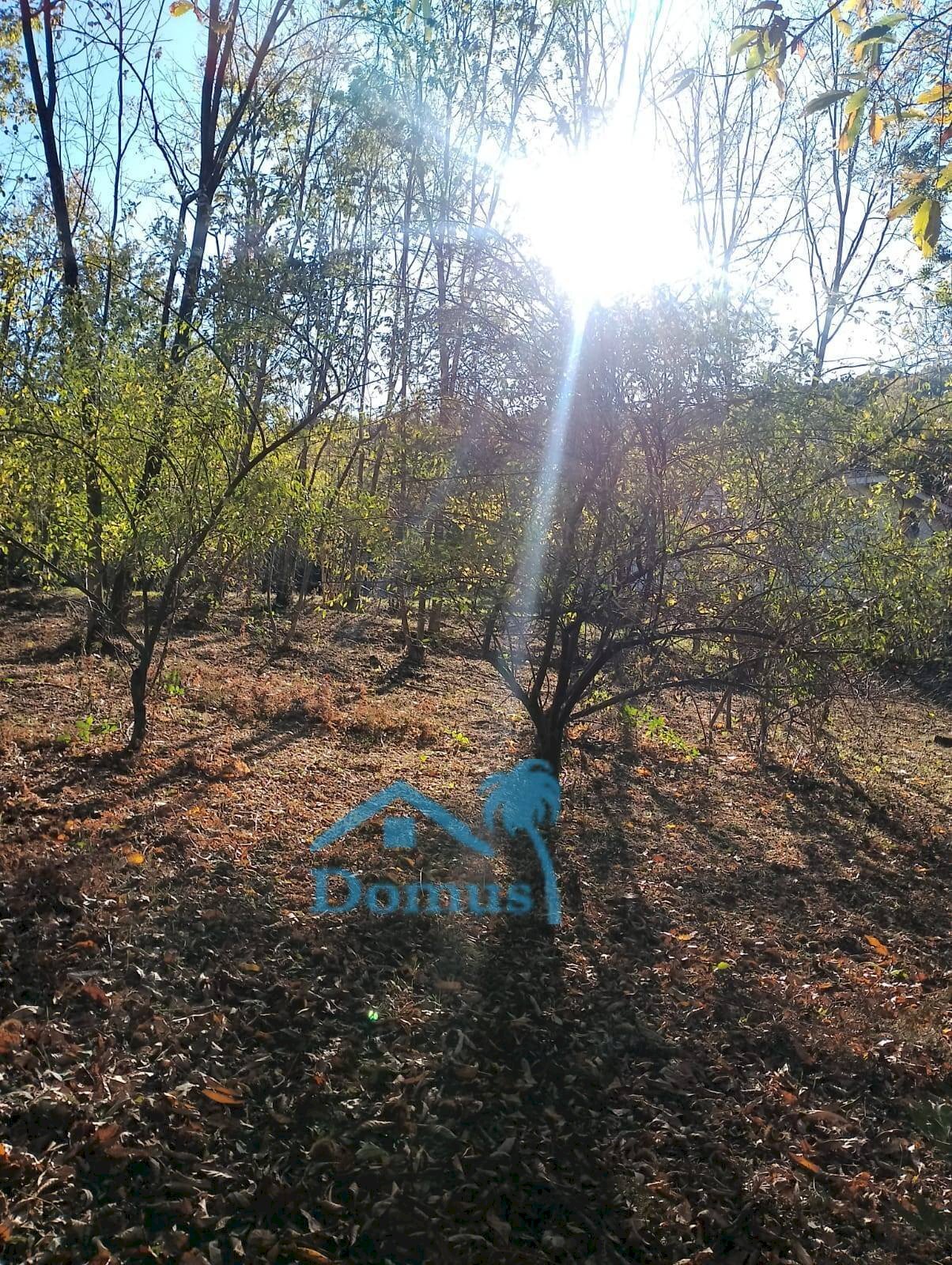 Foto 1 - Terreno agricolo strada bironera, Cantalupa - foto 1