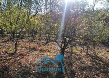 Foto 1 - Terreno agricolo strada bironera, Cantalupa - foto 1