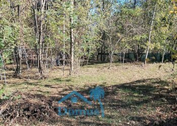 Foto 2 - Terreno agricolo strada bironera, Cantalupa - foto 2