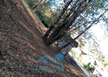 Foto 4 - Terreno agricolo strada bironera, Cantalupa - foto 4