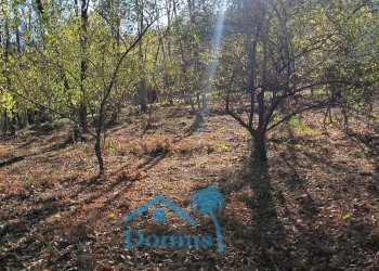 Foto 8 - Terreno agricolo strada bironera, Cantalupa - foto 8