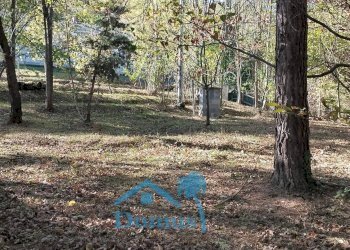 Foto 9 - Terreno agricolo strada bironera, Cantalupa - foto 9