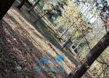 Foto 10 - Terreno agricolo strada bironera, Cantalupa - foto 10