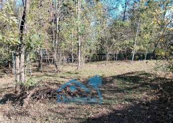 Foto 11 - Terreno agricolo strada bironera, Cantalupa - foto 11