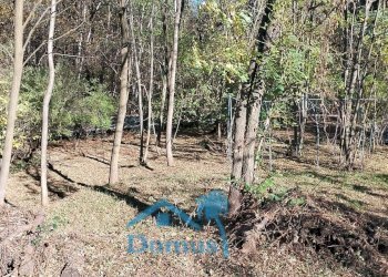 Foto 12 - Terreno agricolo strada bironera, Cantalupa - foto 12