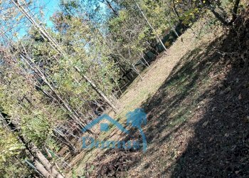 Foto 13 - Terreno agricolo strada bironera, Cantalupa - foto 13