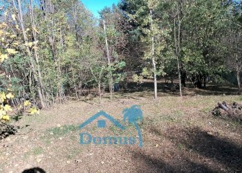 Foto 14 - Terreno agricolo strada bironera, Cantalupa - foto 14