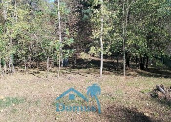 Foto 16 - Terreno agricolo strada bironera, Cantalupa - foto 16