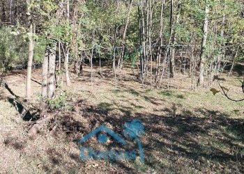 Foto 17 - Terreno agricolo strada bironera, Cantalupa - foto 17