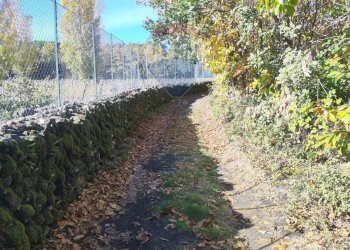 Giardino - Agricultural land Via Montarello
 
63/C, Pedara - photo 3