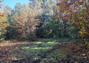 Giardino - Agricultural land Via Montarello
 
63/C, Pedara - photo 6