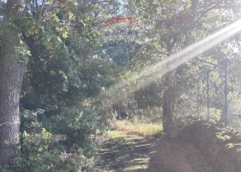 Giardino - Agricultural land Via Montarello
 
63/C, Pedara - photo 8