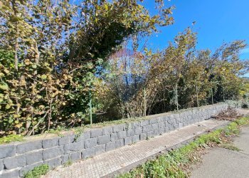 Giardino - Terreno edificabile Via Stazzone, Linguaglossa - foto 5