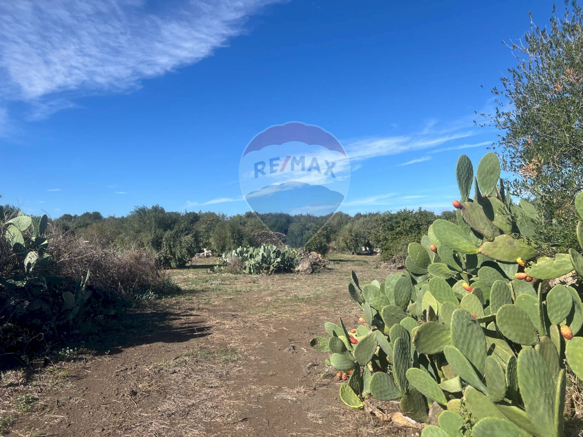 Vista delle montagne - Terreno agricolo STRADA COMUNALE DECIMA
 
SN, Belpasso - foto 1