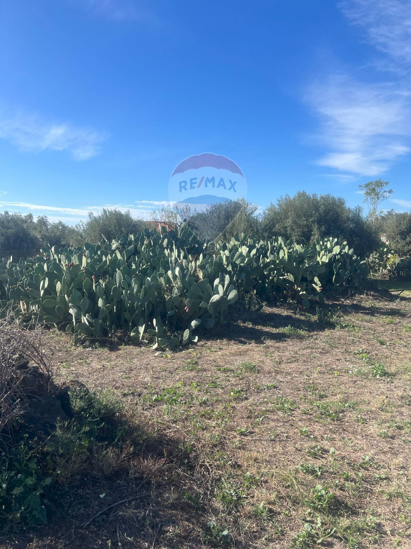 Non correlato - Terreno agricolo STRADA COMUNALE DECIMA
 
SN, Belpasso - foto 3