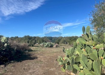 Vista delle montagne - Terreno agricolo STRADA COMUNALE DECIMA
 
SN, Belpasso - foto 1