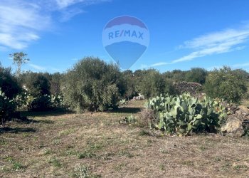 Vista delle montagne - Terreno agricolo STRADA COMUNALE DECIMA
 
SN, Belpasso - foto 2
