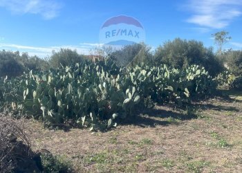 Non correlato - Terreno agricolo STRADA COMUNALE DECIMA
 
SN, Belpasso - foto 3