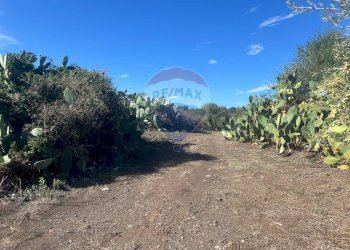 Vista delle montagne - Terreno agricolo STRADA COMUNALE DECIMA
 
SN, Belpasso - foto 7