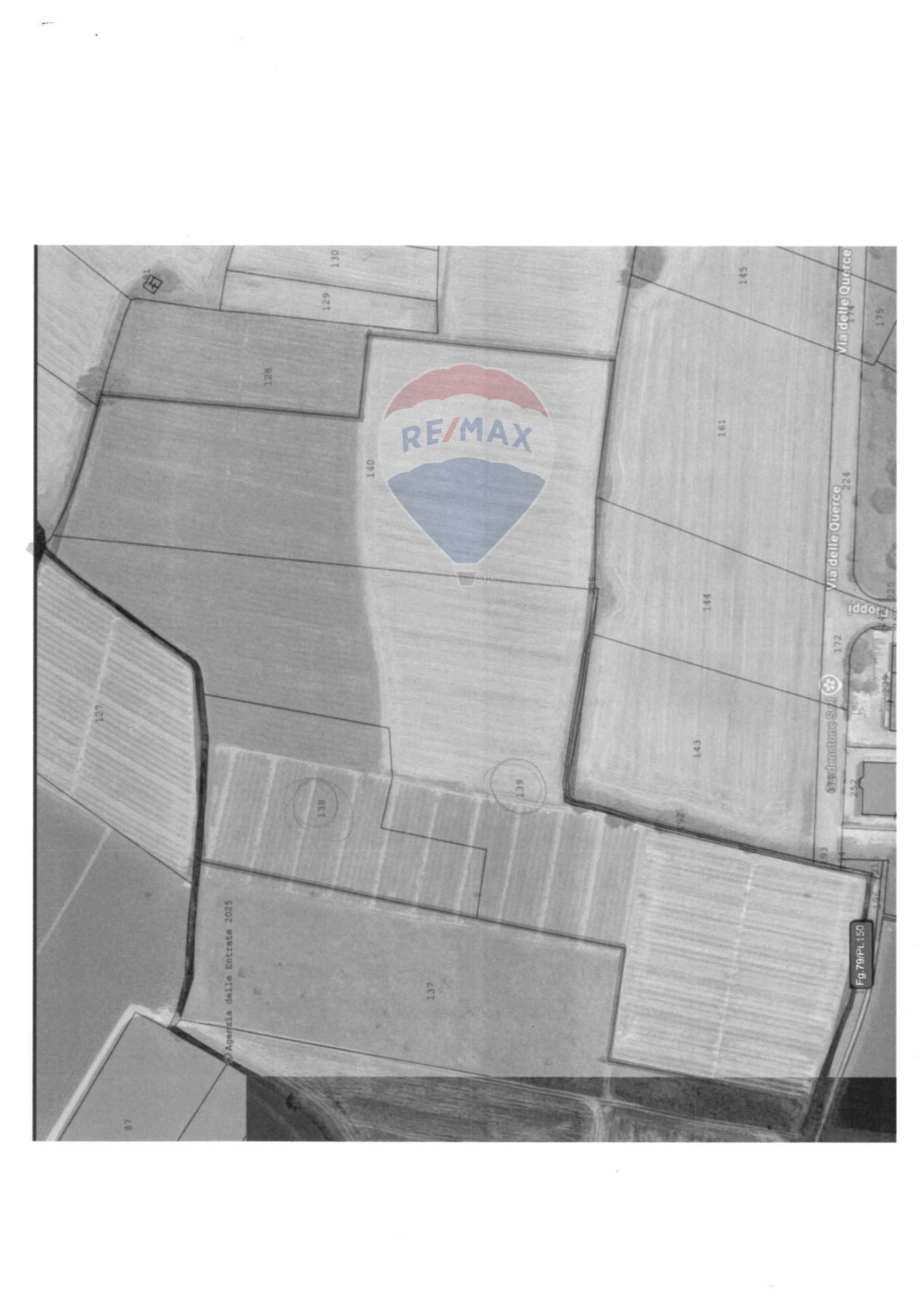 Pianta 2D - Terreno agricolo VIA GRONDA NORD FINILROSSO, Viadana - planimetria 1