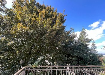 Foto 5 - Rustico Via San Giovanni
 
20, Maranzana - foto 5