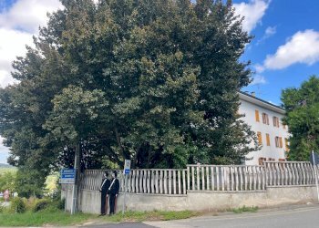 Foto 7 - Rustico Via San Giovanni
 
20, Maranzana - foto 7