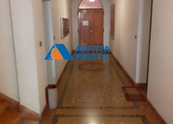 Foto 10 - Monolocale Via Orfeo
 
10, Bologna - foto 10