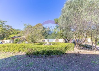 Giardino - Villa Via Sante Tani, Fiumicino - photo 62